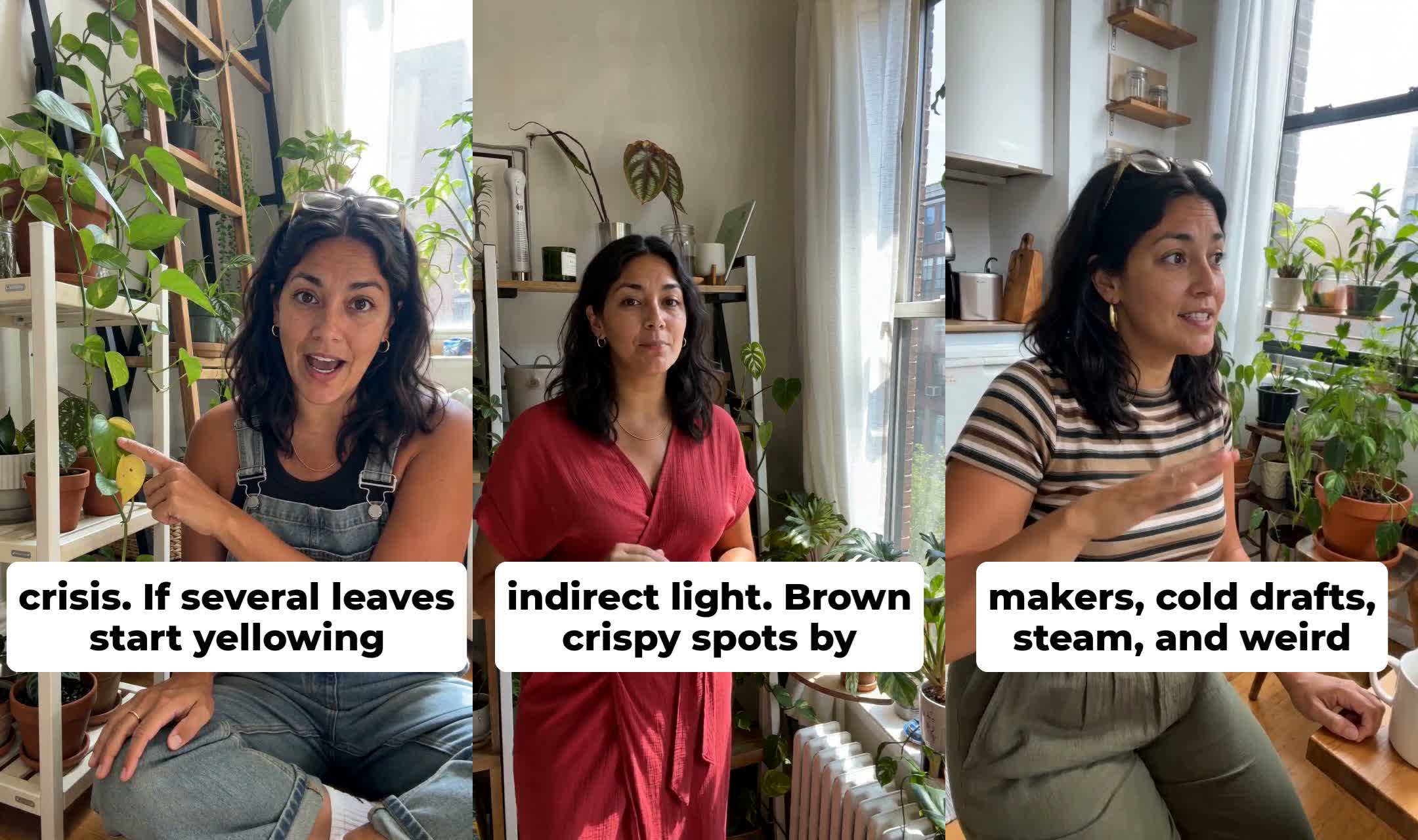 Same AI persona — Latina plant-care creator — across 3 days, 3 outfits, 2 rooms in the same apartment